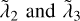 ${\tilde \lambda _2}{\rm{ and }}{\tilde \lambda _3}$