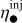 $\eta _ \bullet ^{{\rm{inj}}}$