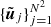 $ \{{\tilde{{\boldsymbol{u}}}}_j\}_{j=1}^{N^2} $