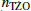 $ n_\mathrm{T\dot{Z}O} $