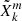 $ \tilde{X}_{k}^{m} $