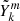 $ \tilde{Y}_{k}^{m} $