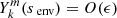 $ Y_{k}^{m}(s_{\text{ env}}) = O(\epsilon) $