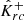 $ {{{{\hat{{{{{{K}}}}}}}^{+}}_{rc}}} $