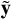 $\widetilde {\bf{y}}$