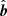 $ {\hat{\boldsymbol{b}}} $