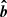 $ \boldsymbol{\hat{b}} $