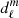 $ d_{\ell}^{m} $