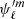 $ \psi_{\ell}^{\prime m} $