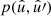 $ p(\hat{u}, \hat{u}\prime) $