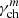 $ \gamma_{\mathrm{ch}}^{m} $