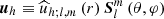 $ {\boldsymbol u}_h\equiv {\widehat u}_{h;l,m}\left(r\right){\boldsymbol S}_{l}^{m}\left(\theta,\varphi\right) $
