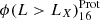 $ \phi(L > L_X)_{16}^{\mathrm{Prot}} $