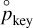 ${\mathop p\limits^ \circ _{{\rm{key}}}}$