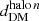 $ d_{\mathrm{DM}}^{\mathrm{halo}\,n} $