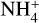 ${\rm{NH}}_4^ + $