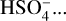 ${\rm{HSO}}_4^ - \ldots $