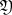 $ \mathfrak{Y} $