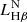 $ L^{\mathrm{N}}_{\mathrm{H\beta}} $