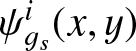 $\psi^i_{g_s}(x,y)$