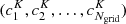 $ (c^{K}_{1}, c^{K}_{2}, \ldots, c^K_{N_{\mathrm{grid}}}) $