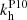 $ k_{\mathrm{h}}^{\mathrm{P10}} $