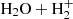 $ \mathrm{H_{2}O}+\mathrm{H_{2}^{+}} $