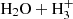 $ \mathrm{H_{2}O}+\mathrm{H_{3}^{+}} $