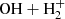 $ \mathrm{OH}+\mathrm{H_{2}^{+}} $