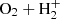 $ \mathrm{O_{2}}+\mathrm{H_{2}^{+}} $
