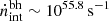 $ \dot n_{\mathrm{int}}^{\mathrm{bh}} \sim 10^{55.8}\,\mathrm{s^{-1}} $