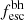 $ f_{\mathrm{esc}}^{\mathrm{bh}} $