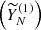 $ \left (\widetilde {Y}^{(1)}_N\right ) $