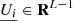 $ \underline {U_i} \in {{\textbf{R}}}^{L-1} $