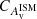 $ C_{A_{\mathrm{v}}^{\mathrm{ISM}}} $
