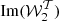 $ {\mathrm {Im}}({\cal {{W}}}_2^{\cal {{T}}}) $