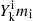 $ Y_{\mathrm{k}}^{\mathrm{i}}m_{\mathrm{i}} $