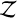 $\mathcal{Z}$