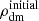 $ {\rho_{\mathrm{dm}}^{\mathrm{initial}}} $