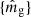 $ \{\hat{m}_{\mathrm{g}}\} $
