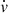 $ \dot{v} $
