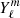 $ Y_{\ell }^{m} $