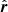 $ \hat{\boldsymbol{r}} $