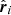 $ \hat{\boldsymbol{r}}_i $