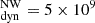 $ {}_{\mathrm {dyn}}^{\mathrm {NW}} = 5 \times 10^{9} $