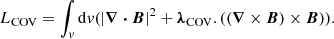 $$ L_{{\mathrm {COV}}}=\int _v {\mathrm {d}}v (|\boldsymbol {\nabla \cdot B}|^{2} + \boldsymbol {\lambda }_{{\mathrm {COV}}}. ((\boldsymbol \nabla \times \boldsymbol B) \times \boldsymbol B)). $$