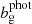 $ {b^{\mathrm{phot}}_{\mathrm{g}}} $