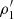 $ \rho ^{\prime}_1 $
