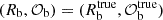 $ (R_{\mathrm {b}}, {\cal {{O}}}_{\mathrm {b}}) = (R_{\mathrm {b}}^{\mathrm {true}}, {\cal {{O}}}_{\mathrm {b}}^{\mathrm {true}}) $