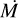 $\left( {\dot M} \right)$